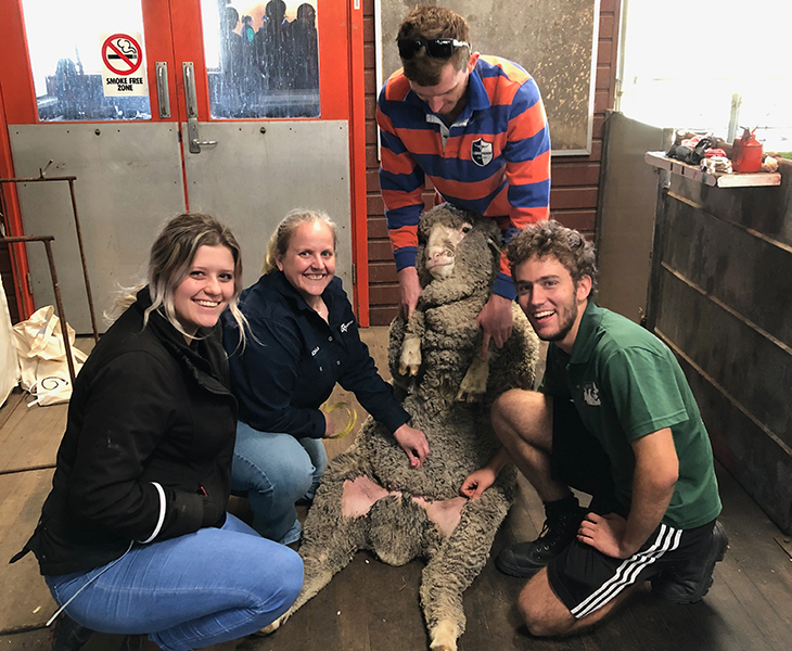 Students gain insight into ram health