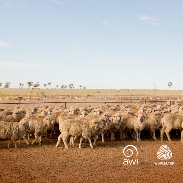 AWI's 2024/25 Annual Report