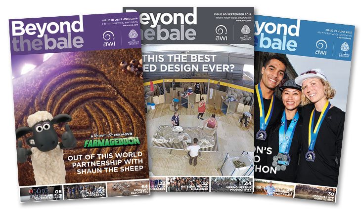 Beyond the Bale