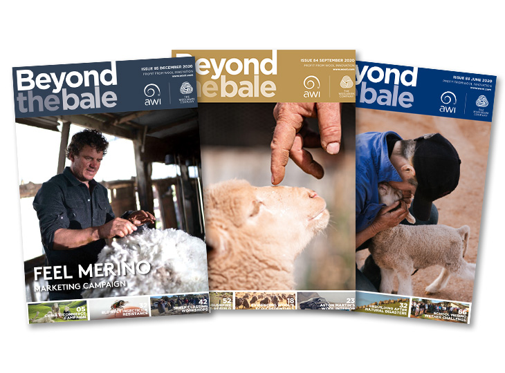 Beyond the Bale