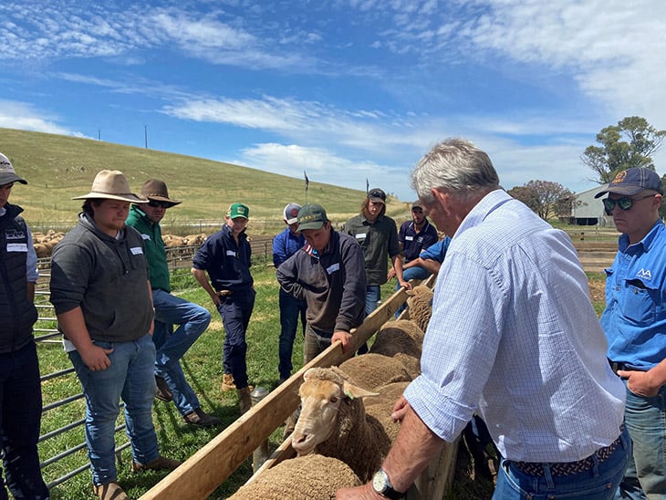 AWI sheep classing workshops