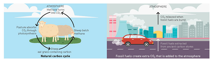 Mitigation of greenhouse gas emissions Mitigation of greenhouse gas emissions