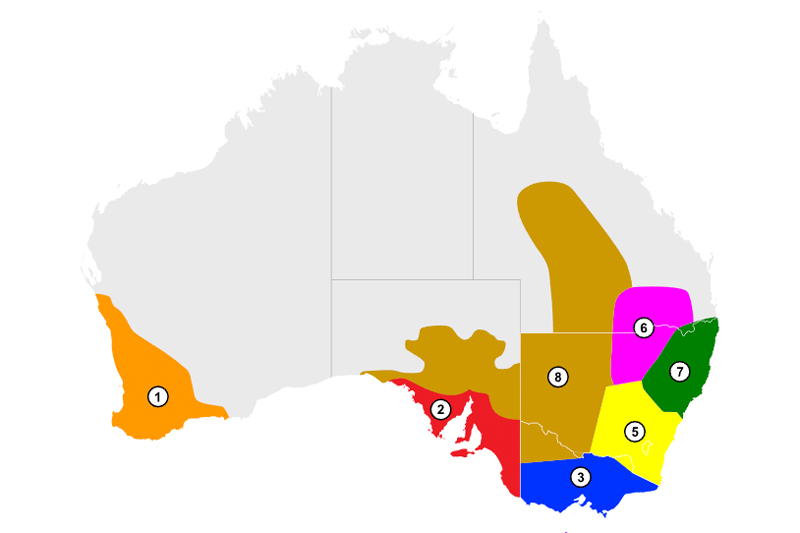 btb-how-to-worm-wet-season-map.jpg