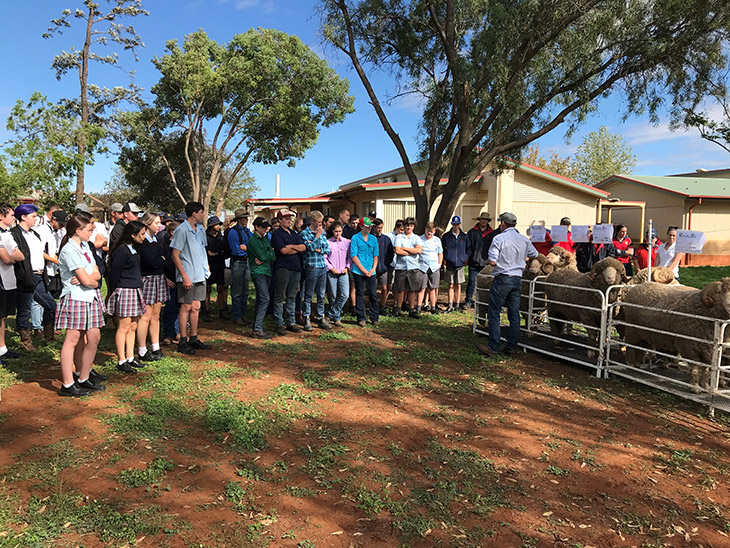 Students take up merino wether challenge