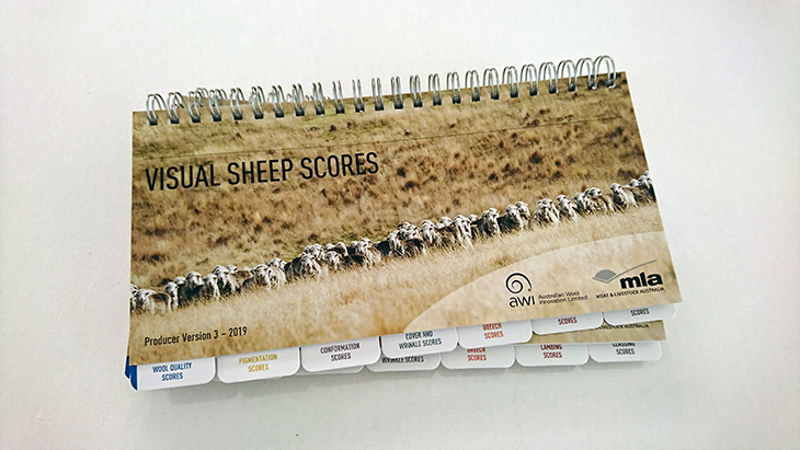 Visual sheep scores new version now available