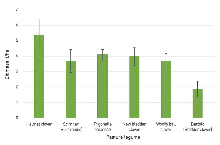 legumes-inline1.jpg