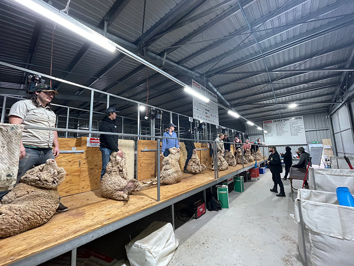 AWI-funded in-shed wool harvesting courses