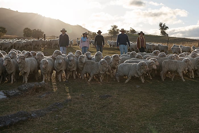 Aussie wool promoted in new Aussie campaign