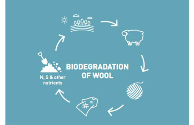 Natural fibres unite to help the environment