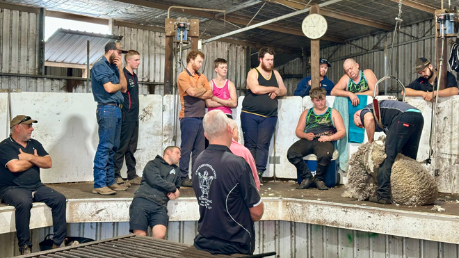 wa-wool-inline1.jpg