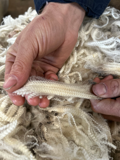 A person holding a piece of white wool