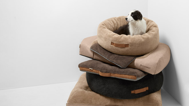 A stack of various MiniJumbuk wool dog beds in neutral earth tones, with a black and white Border Collie sitting comfortably in the circular top bed. (https://www.wool.com)