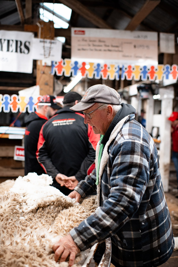 Man sorting freshly shorn wool fleece on a shearing table inside a busy shearing shed