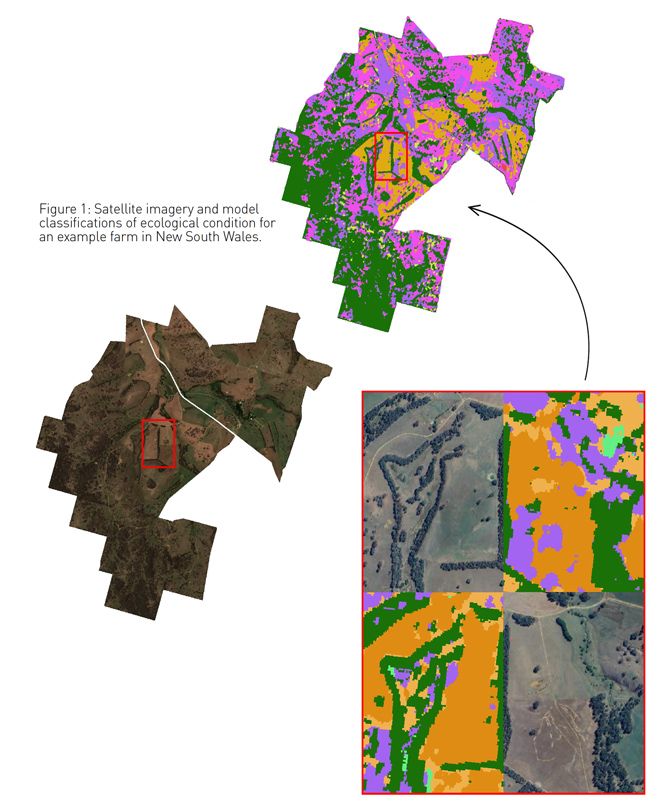 Satellite imagery and model classifications of ecological condition for an example farm in New South Wales
