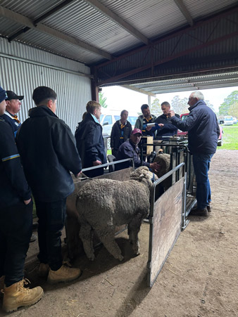 A group of agriculture students standing attentively inside a corrugated iron shed, observing a senior industry mentor as he uses a digital scale and data logger to measure a Merino wether in a handling crate.
