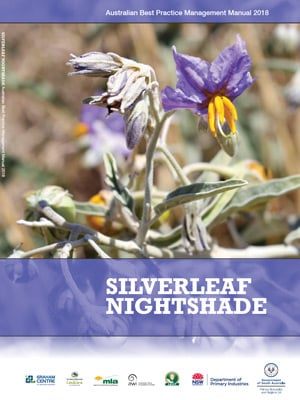 silverleaf-nightshade-call-out-box.jpg