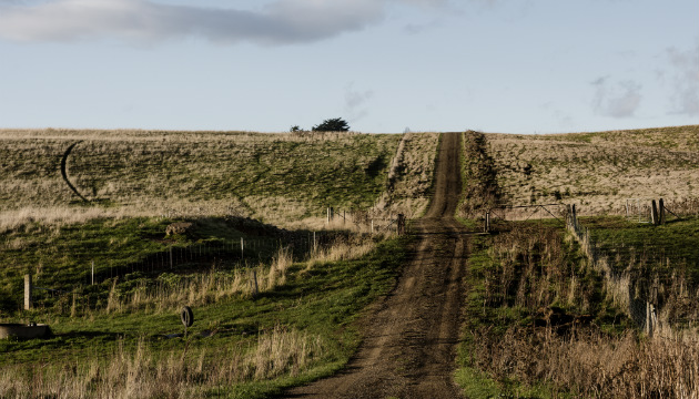 Profitability and Regenerative Agriculture