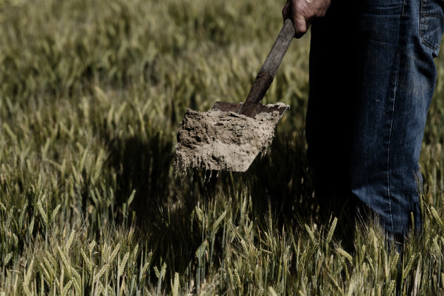 Soil