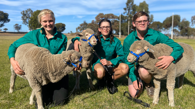 Education-School-Merino-Wether-Challenge-Goroke-P-12-College.jpg
