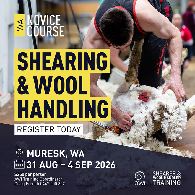 Promotional graphic for AWI’s Novice Shearing & Wool Handling course, showing a shearer working with a sheep. Course held in Muresk, WA, 31 Aug–4 Sep 2026. Register today; $250 per person. Training coordinator: Craig French, 0447 000 302.