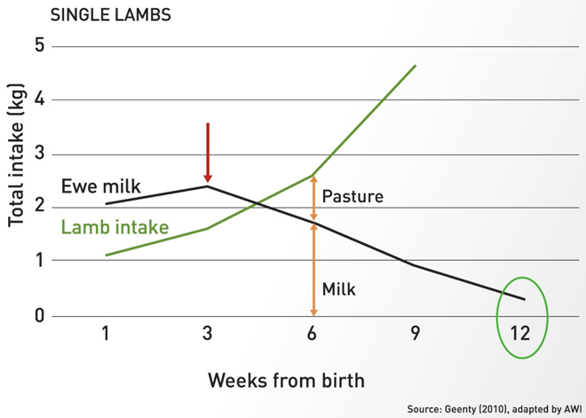 weaning-figure1.jpg