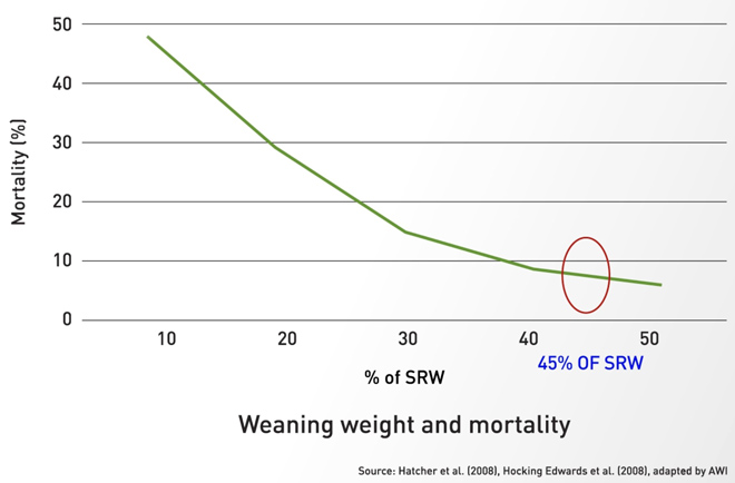 weaning-figure2.jpg