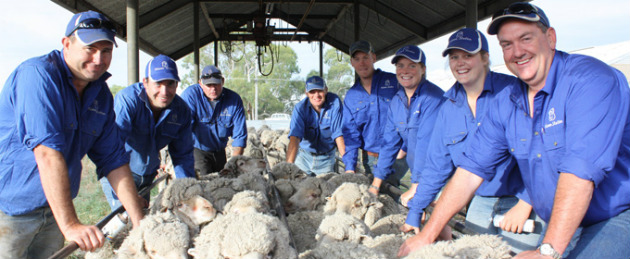 Lifetime Ewe Management