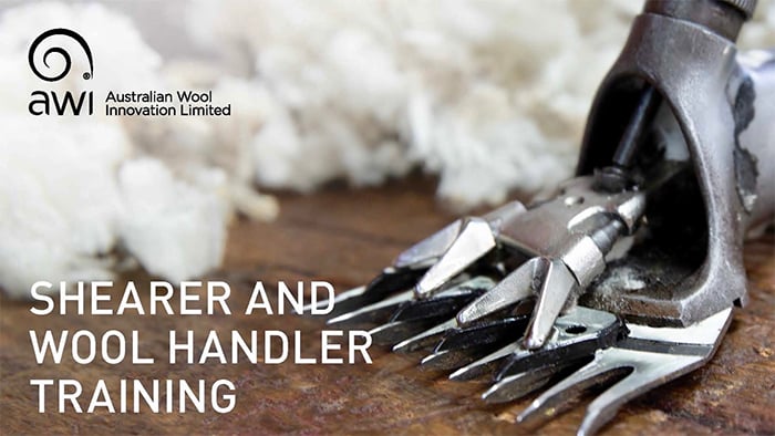 Shearer and Wool Handler Training