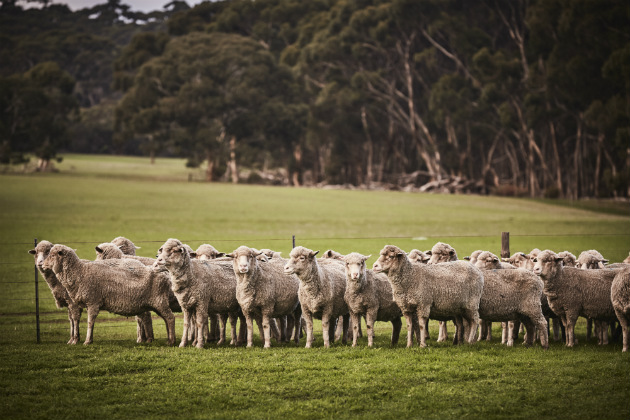 Breeding Technology