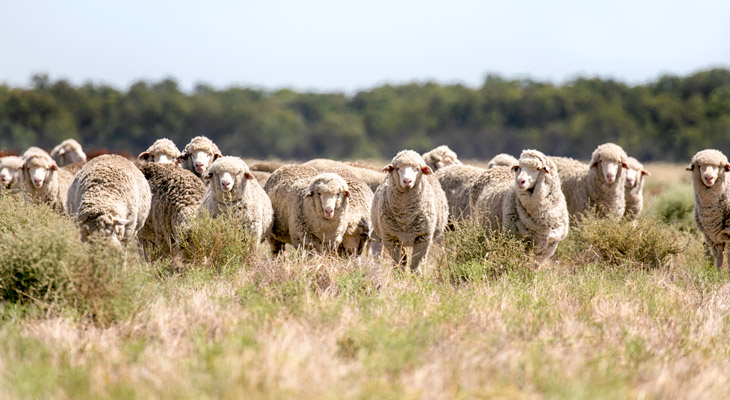 Weaning