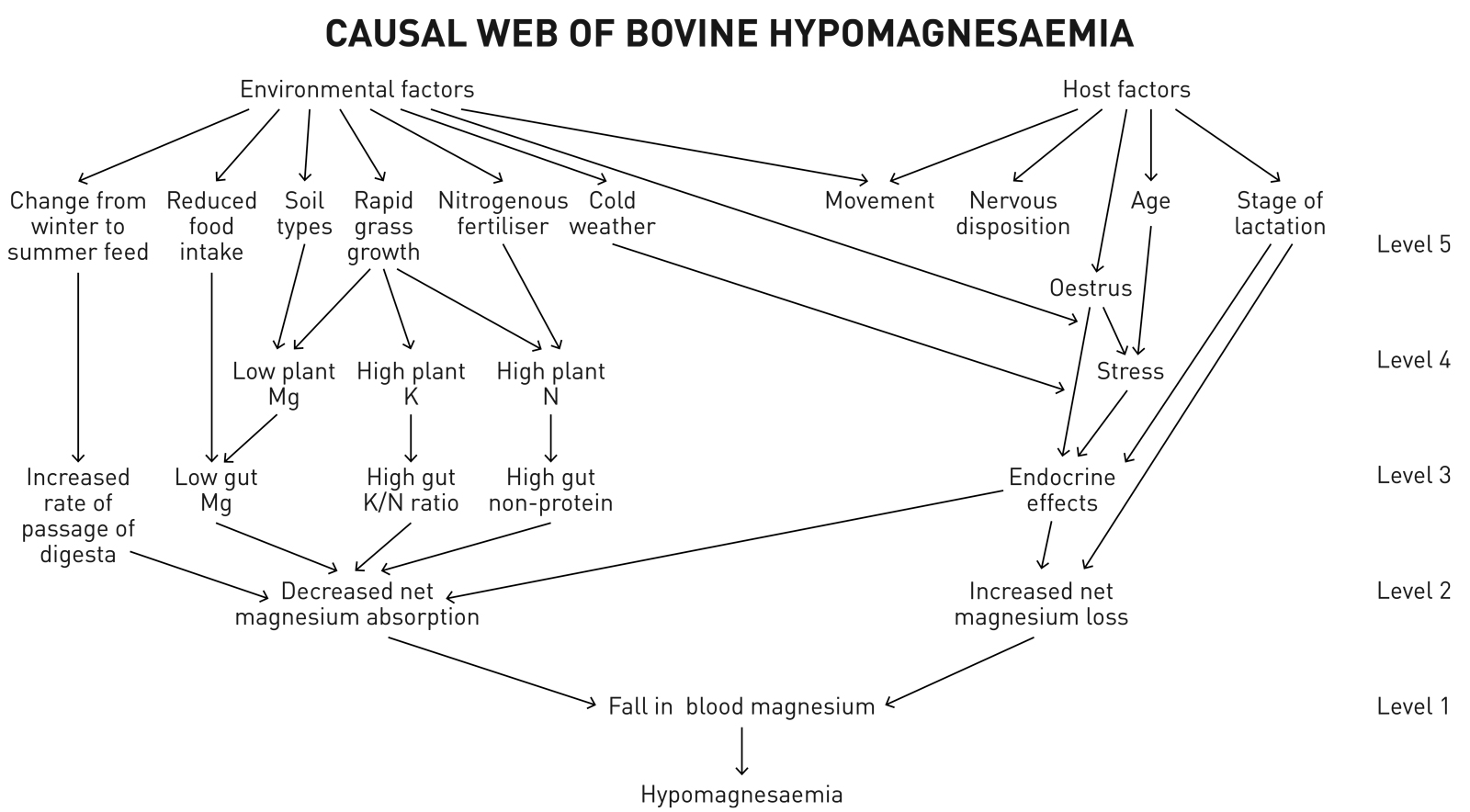Hypomagnesia-causal-web.jpg