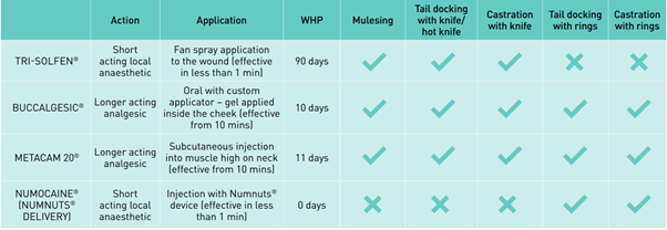 analgesia-and-anaesthesia-table.png