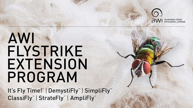 AWI Flystrike Extension Program