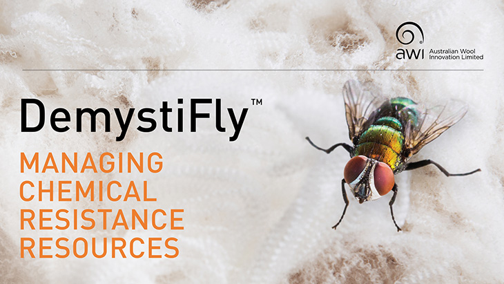 DemystiFly