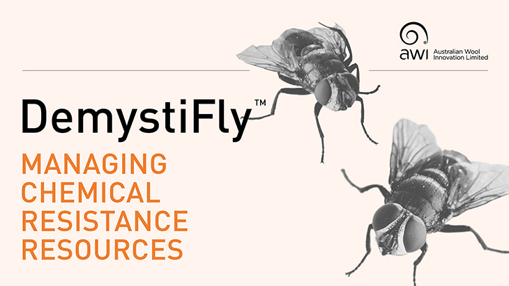 DemystiFly