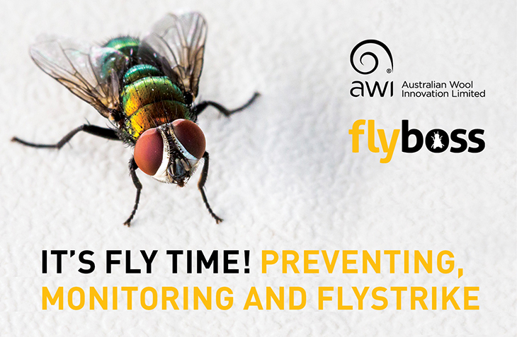 It’s Fly Time!