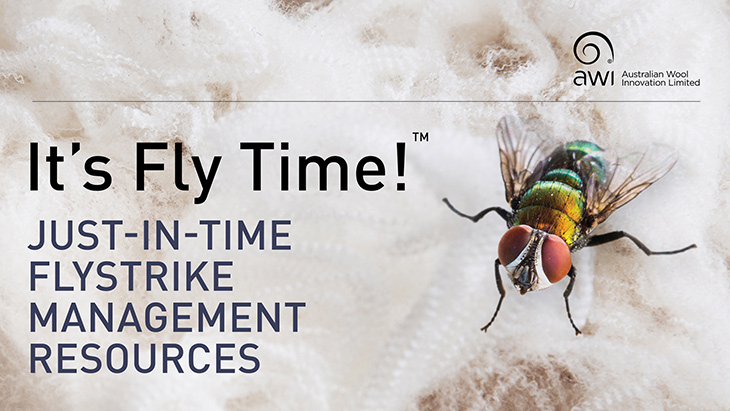 It's Fly Time!