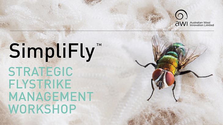 SimpliFly