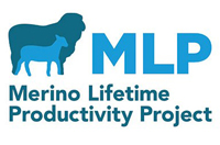 mlp-logo-call-out-box.jpg