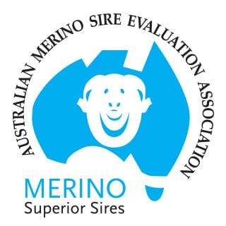 merino-superior-sires-logo.jpg