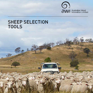sheep-selection-tools.jpg