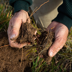 Biogenic Carbon Flux in Sheep Production Systems