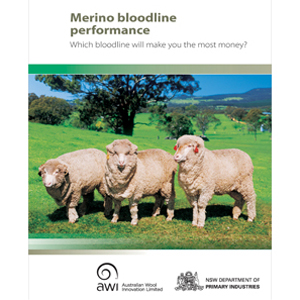 merino-bloodline-performance-accordion.jpg