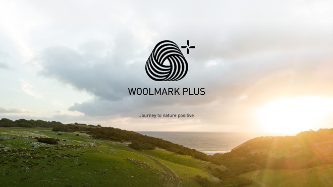 woolmark-fellowship-inline4.jpg