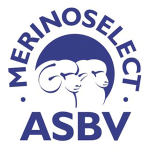 merino-select-logo.jpg